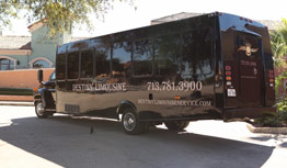 Houston Limousine