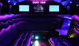 Houston Limousine 